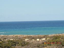 Makrigialos with fantastic beaches