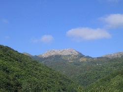 View from the windows of Casa Marta