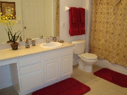 Main Condo bathroom