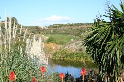 Golf Course