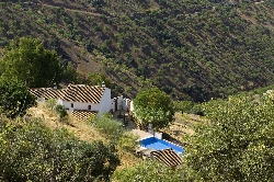 Surrounded by Almond Trees