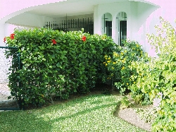 View 3 Garden