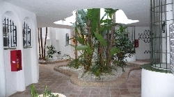 Inside Garden