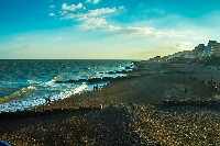 the beach
