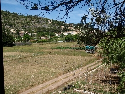 View of veggie garden, country and port