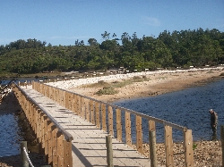 lagoon cyclying/jogging path 5 minute