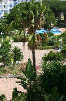Views of pool, gardens and Andalucian fo