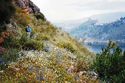 View to Iznajar from hillside