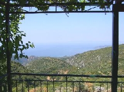 View from Balcony