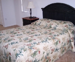 Master Bedroom downstairs