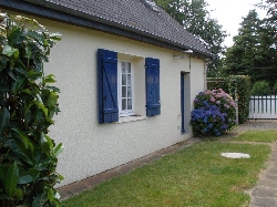 Rear View