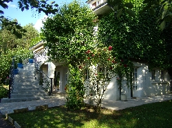 LES IRIS