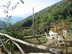 View from the terrace