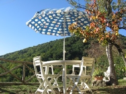 The sunny terrace