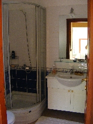 shower room (downstairs)