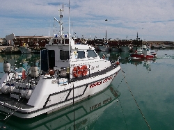 Fishing at Guilianova