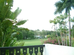 View of 1st Fairway