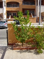 Front of garden with car space opposite