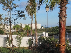 garden/terrace view