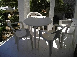 Welcome Shade on the Terrace