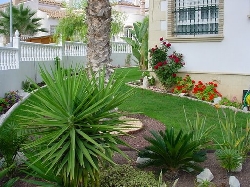 Beautiful gardens all around the villa