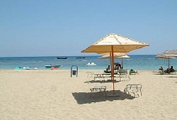Turtle Conservation Beach