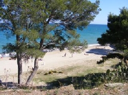 Local Beach