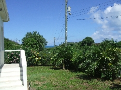 The view from the front garden