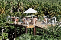 Gazebo and Tropical Gardens