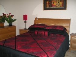 the 2nd bedroom, with queen bed