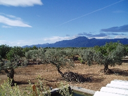 Mount Caro from the terrace