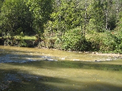 view of the river viaur from the house