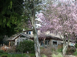 View of house from the ocean - in spring