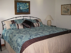 Peacock bedroom upstairs - king bed