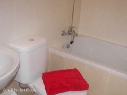 Bathroom with shower over bath