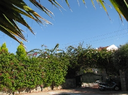 Private walled & gated garden