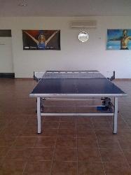 Anyone for Ping Pong?