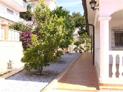 Fruit trees in garden