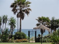 Direct access to beach through gardens