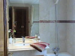 Master bedroom's en-suite bathroom