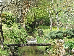 Garden and stream
