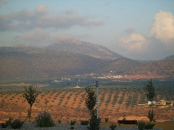 view from the roof terrace