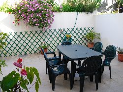 Back garden