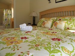 King Size Bedroom