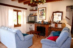 Living-room with fireplace