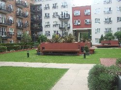 Communal gardens