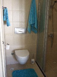 Ensuite Shower room