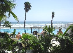 Tropical gardens around the pool.