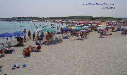 The Beaches