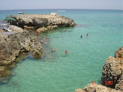 Natural Pool Clear Waters